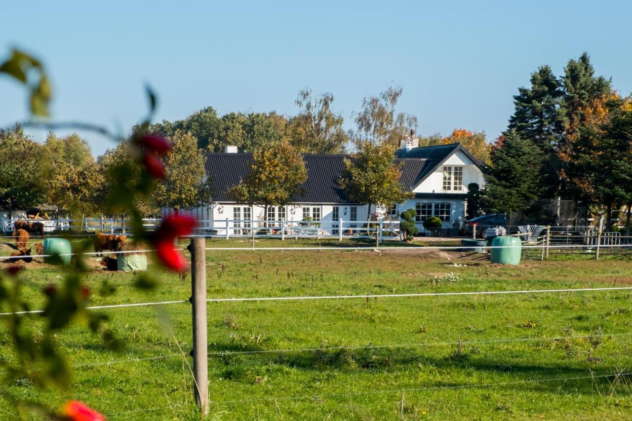 Troldegaarden Guesthouse Koge Exteriér fotografie